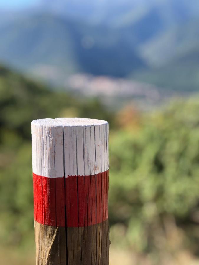 Il Minotauro B&B A 5 Minuti Da Popoli Vittorito Zewnętrze zdjęcie